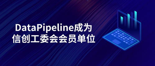 datapipeline正式成為信創(chuàng)工委會(huì)會(huì)員單位，致力為世界級(jí)用戶(hù)提供更優(yōu)質(zhì)產(chǎn)品和服務(wù)